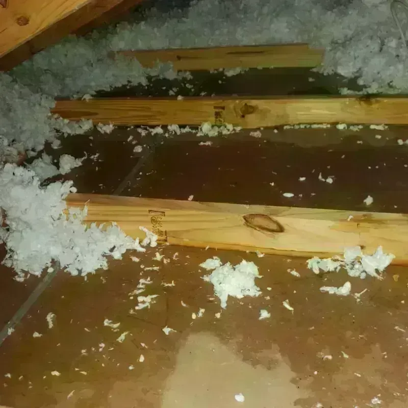 Attic Water Damage in Richmond, UT