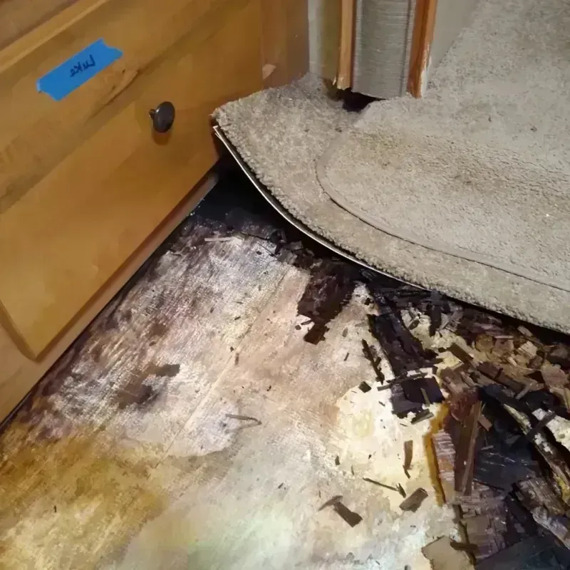 Wood Floor Water Damage in Richmond, UT